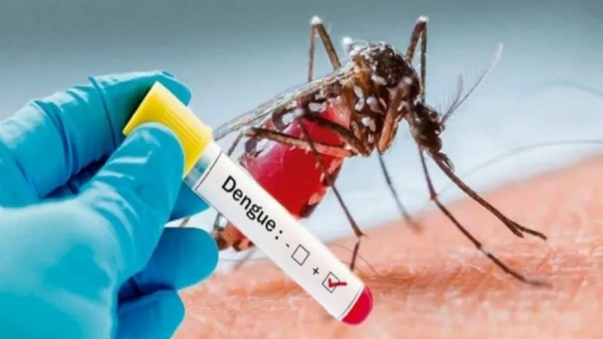 MINISTÉRIO DA SAÚDE ENVIARÁ VACINA CONTRA A DENGUE PARA 32 MUNICÍPIOS DO SUL DA BAHIA