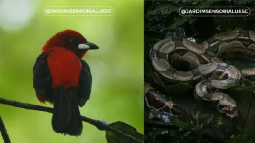 Uesc anuncia vencedores do Concurso de Fotografias