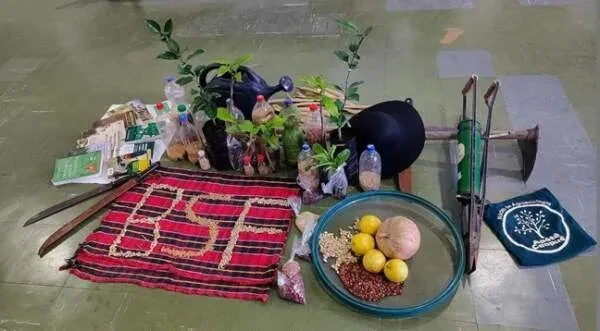 Você Não Tá Convidada pro Meu Bat Mitzvá!