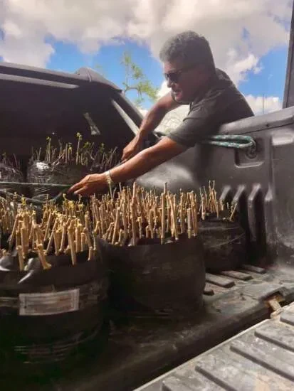 Você Não Tá Convidada pro Meu Bat Mitzvá!